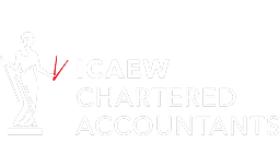 Chartered accountant logo